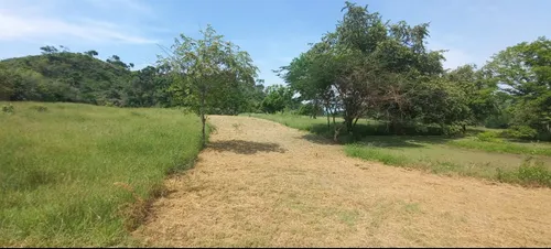 Venta De Lotes En Agua De Dios Con Escrituras