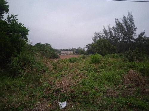 Terreno Venta 1358m² Carr Tuxpan Tamiahua En Tuxpan Veracruz