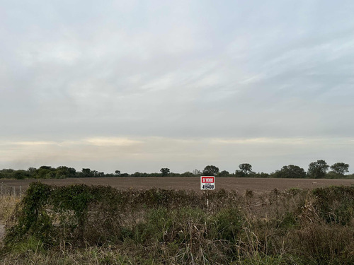 Campo 100 Hectareas Agricultura Y Ganaderia