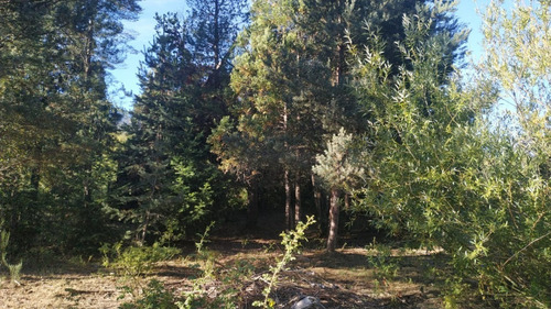 Imagen 6 de 12 de Terreno 450 Mt2 Lago Puelo Con Arboles Autoctonos Cercado