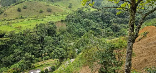 Venta De Lote En Santa Bárbara Vereda Pitayó Lote No. 2a