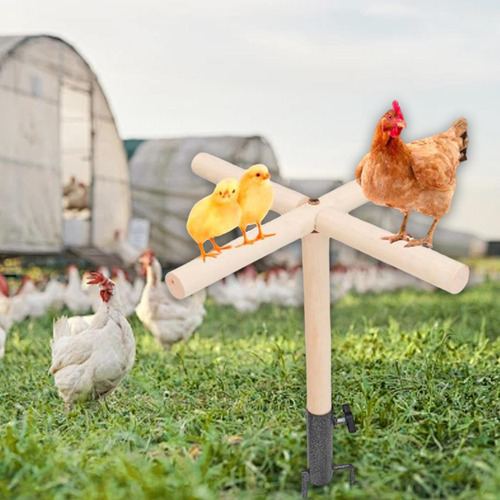 Juguete De Percha Para Pollo, Accesorios Para Gallinero,l