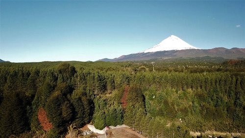 Agrícola En Venta En Temuco