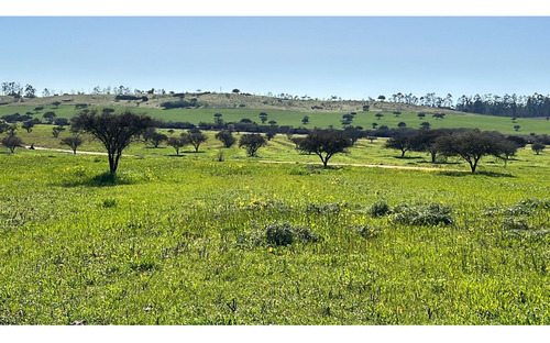 Excelente!! Parcelas De 5.000 M2 Con Rol Propio En "lom