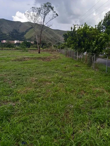Terreno En Venta En Guacara, (lp)