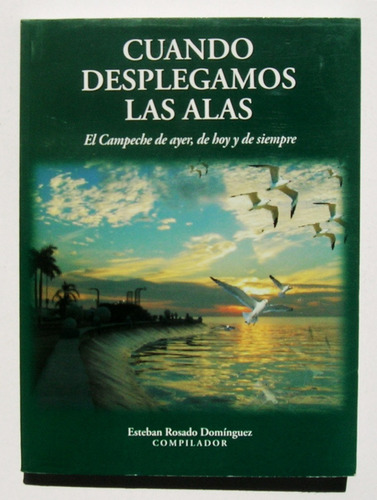 Cuando Desplegamos Las Alas Campeche Ayer Y Hoy Libro 2008