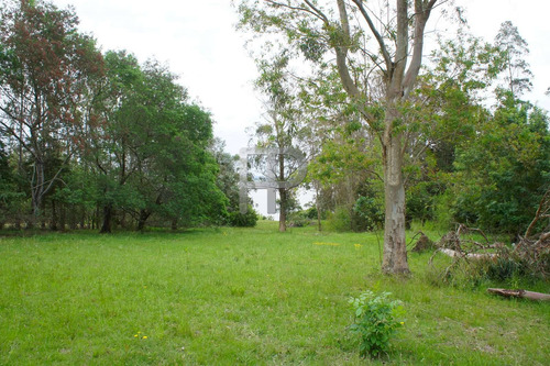 Imagen 6 de 10 de Campo En Venta Laguna Del Sauce 4 Hectáreas