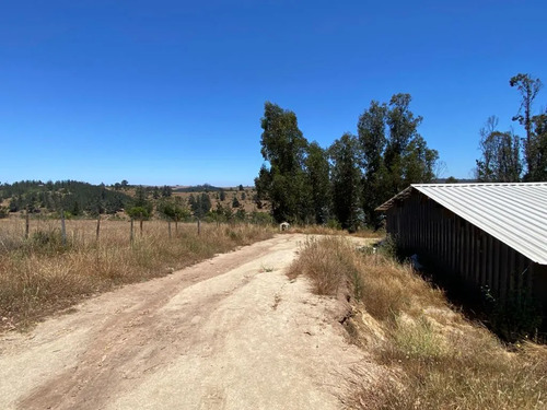 Venta Parcela 2 Hectareas Con Galpon Avicola Y Casa