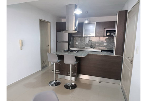 Apartamento En Alquiler En Las Chimeneas Amoblado Cb-9028389