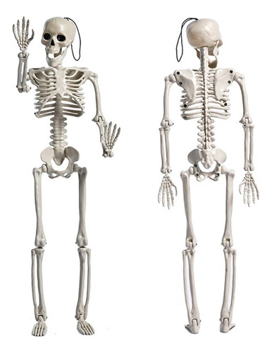 Articulaciones Móviles Completas Body Skeleton Halloween Par