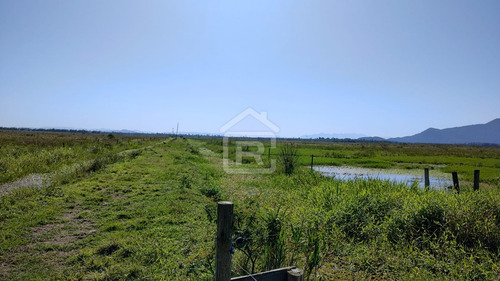 Imagem 8 de 30 de Fazenda Localizada Em Iguape- Sp Com 280 Alqueires - 262 - 71153412