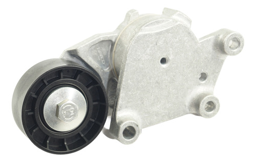 Rodamiento Tensor Alternador Skf Citroen C1/c3 1.4 Dv4