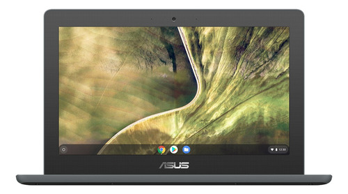Notebook Asus Chromebook Intel Celeron N4020 64gb Ssd 4gb Color Dark Grey