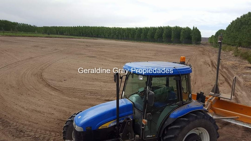 Campo En Venta De 70 Has Ubicado En Tratayen