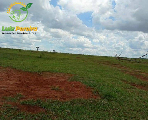 Imagem 12 de 15 de Fazenda À Venda Em Anaurilândia - Ms - (excelente Para Lavoura) - 1696