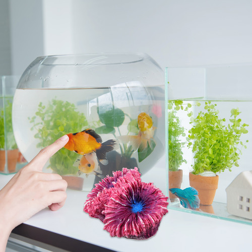 Decoración: Paisaje De Coral Simulado