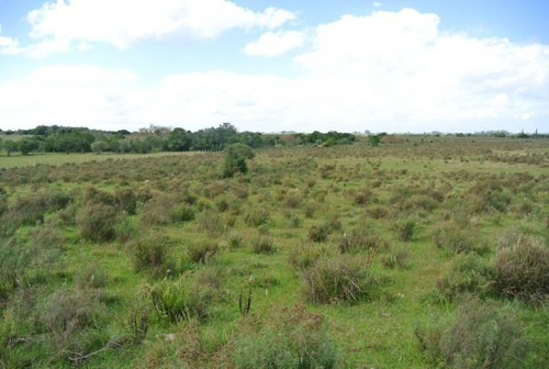 Campo En Venta
