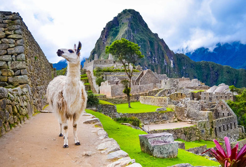 Vinilo Decorativo 40x60cm Machu Picchu Peru Inca Cultura M3