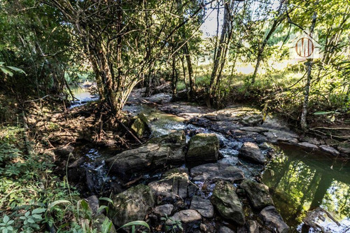 Imagem 27 de 30 de Linda Chácara Arborizada, Lago, Rio Nos Fundos, Piscina, Acesso Asfaltado, 6 Dormitórios À Venda, 6000 M² Por R$ 850.000 - Zona Rural - Pinhalzinho/sp - Ch1206