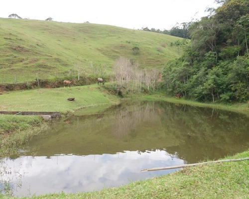 Imagem 8 de 30 de Fazenda Bem Localizada À Venda Em Juquitiba. - 15 - 32982853