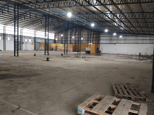 Deposito De 7.000m2 En Planta Con Frente Sobre Avda Antartida Argentina De 100 Ml, Techos Metalicos