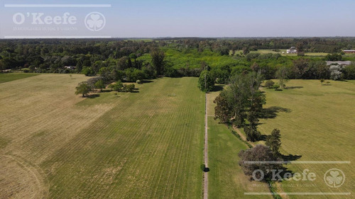 Imagen 8 de 18 de Lote En Venta En El Pato - Barrio Residencial La Vikkina