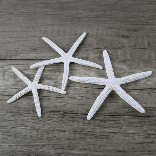 Colgantes Náuticos Con Forma De Estrella De Mar De Cinco Ded