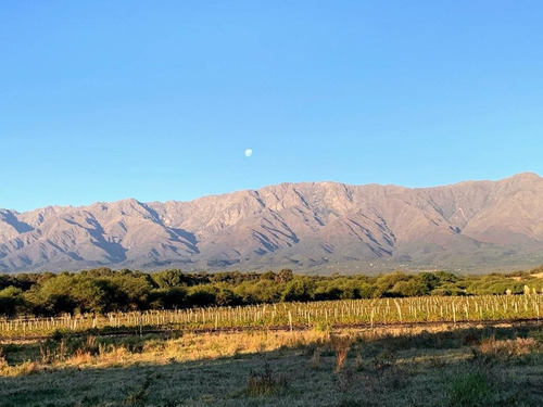 Terreno En San Javier