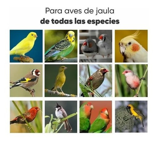 Imagen 3 de 5 de Pasta Embuche 21/9 Aves Pichones Canarios Exzootix 500gr