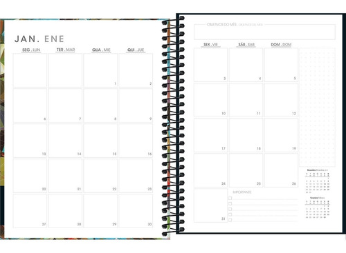Agenda Planner 2020 Rodrigo Mendes Espiral Tilibra
