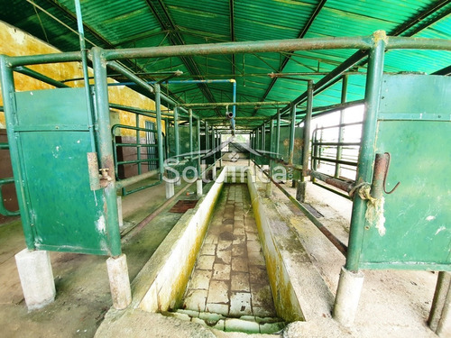 Imagen 27 de 30 de Amplia Finca En Venta Mérida, Chiguará