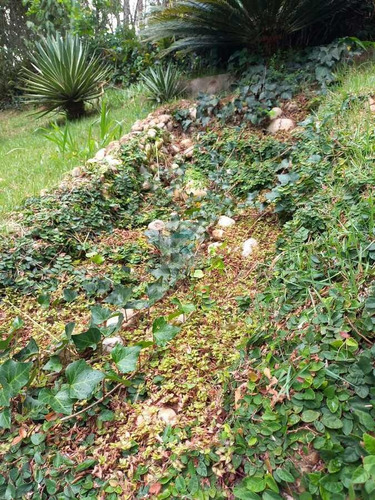 Imagem 8 de 15 de Sobrado Em Condomínio Para Venda Em Mogi Das Cruzes, Parque Residencial Itapeti, 4 Dormitórios, 4 Suítes, 6 Banheiros, 12 Vagas - So0207_2-1481361