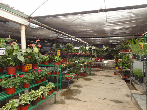 Terreno Comercial En Yautepec , Yautepec, Morelos - Ari-507-tu