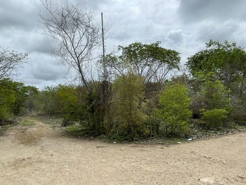 Terreno En Esquina En Venta Cholul