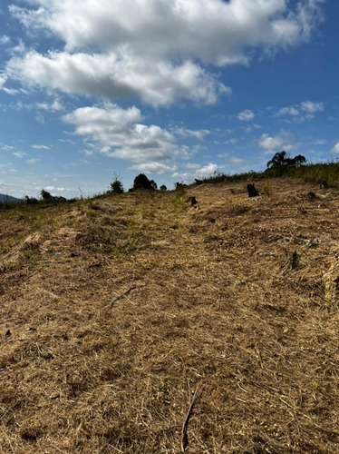 Imagem 13 de 30 de 01- Terrenos Para Chácara A 25 Minutos Da Capital ! Agende Sua Visita.