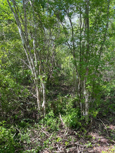 Terreno(14) En Venta En Komchen