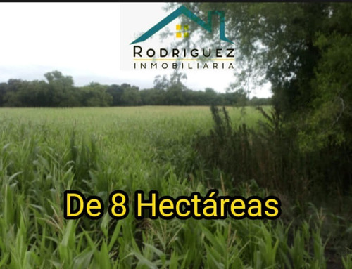 Imagen 3 de 8 de Campo 8 Hectáreas Las 3 Lomas En Gral: Madariaga