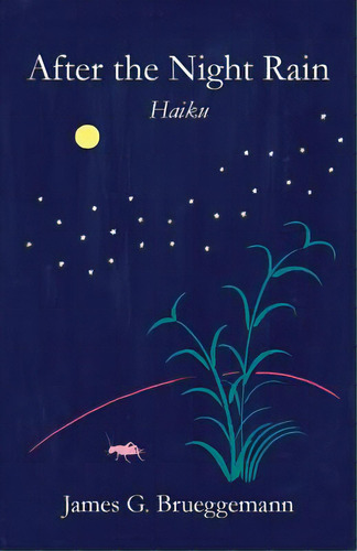 After The Night Rain: Haiku, De Brueggemann, James G.. Editorial Createspace, Tapa Blanda En Inglés