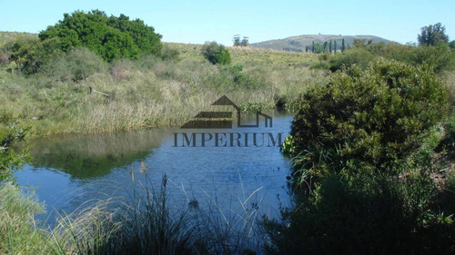 Venta, Campo 98 Hectáreas En Sierras De Carapé