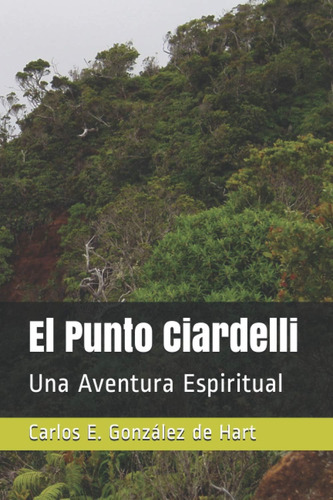 Libro: El Punto Ciardelli: Una Aventura Espiritual (spanish 