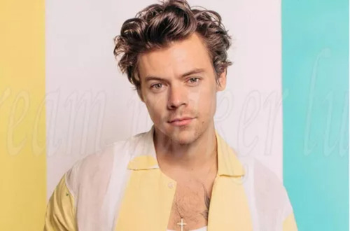 Kits De Pintura One Direction De Harry Styles