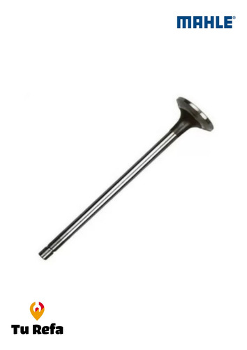 Valvula De Admision Cummins L10, M11 Oem 3068828
