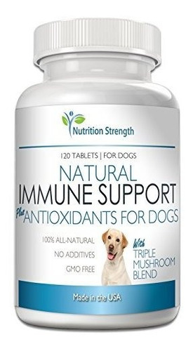 Support Para Perros Más Antioxidante 120 Tabletas Masticable