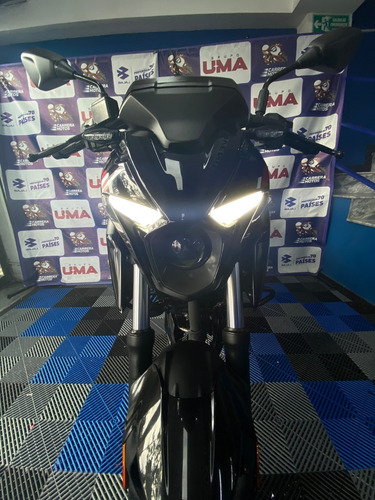 Imagen 11 de 18 de Pulsar N250