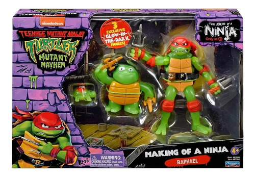 Tortuga Ninja Raphael Formación De Un Ninja