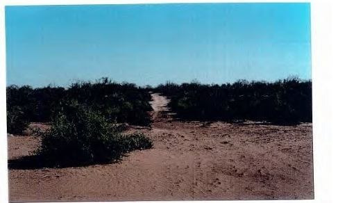 Imagen 5 de 6 de Se Vende Terreno Rustico Cd Obregon