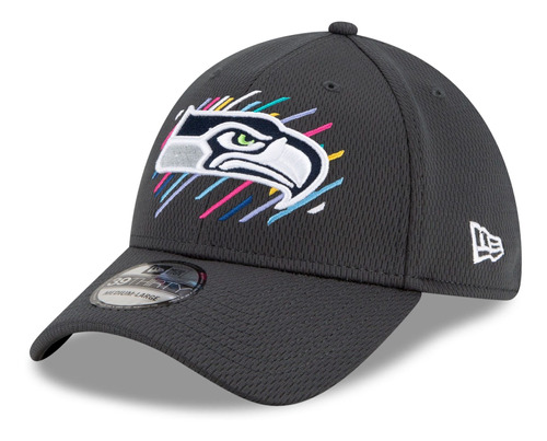 New Era Gorra Searttle Seahawks 39thirty Nfl