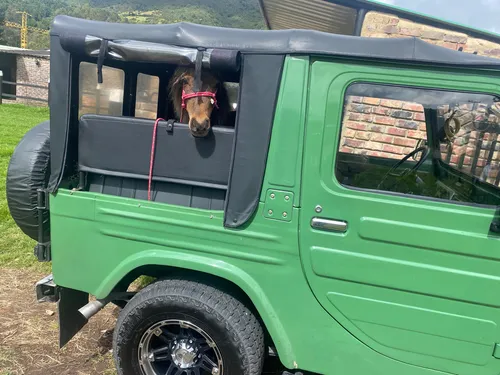 Daihatsu F20 1.6 F20 4X4