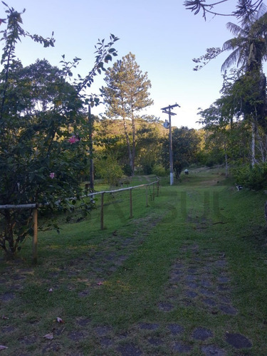 Imagem 24 de 30 de Sítio À Venda Em Juquitiba, Excelente Localização Na Rodovia Régis Bittencourt, Ideal Para Lazer, Moradia Ou Comercio - 85 - 70324044