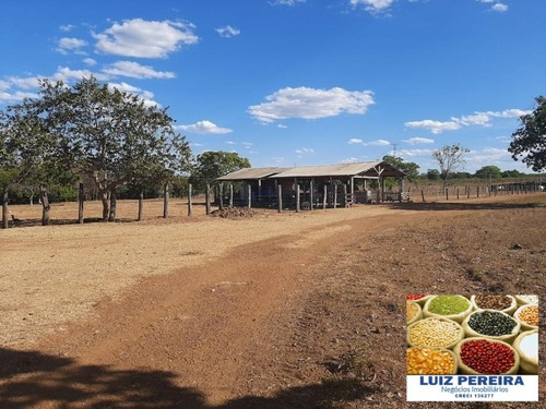 Fazenda À Venda Em Dueré/vale Do Araguaia -to - (dupla Aptidão) - 1537
